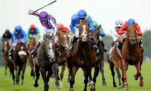 Image result for Horse Racing Front View