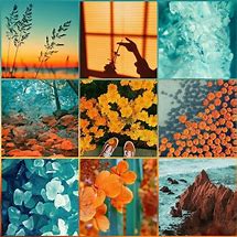 Image result for Simple Mood Board