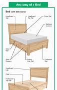 Image result for Bedroom Anatomy