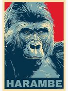 Image result for Harambe Logo