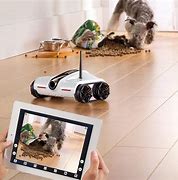 Image result for Remote Control Toys Bugs