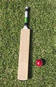Image result for Cricket Bat with Equipment