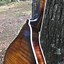 Image result for Woods Mandolins
