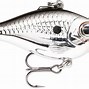 Image result for Crappie Fishing Lures