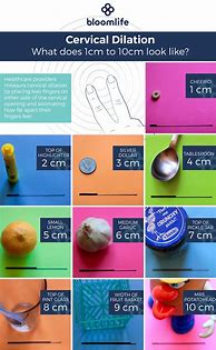 Image result for How Big Is 2.25 Cm
