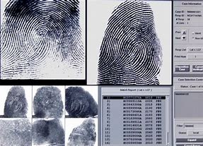 Image result for Digital Fingerprinting