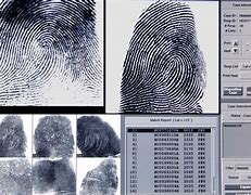 Image result for Fingerprint Crime