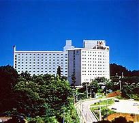 Image result for Nikko Hotel Narita Airport