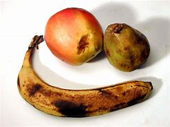 Image result for Rotten Fruit