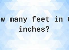 Image result for How Tall Is 64 Inches