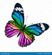 Image result for Butterflies with White Background