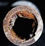 Image result for Steel Pipe Corrosion
