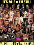 Image result for Wrestling Superstars WWF Case