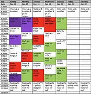 Image result for College Student Study Schedule