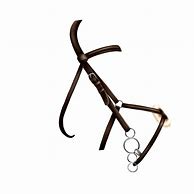 Image result for Transparent Horse Bridle