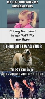 Image result for This Is My Friend Meme Ally