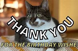 Image result for Thanks for the Birthday Wishes Meme