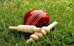 Image result for Cricket Bat On Grass