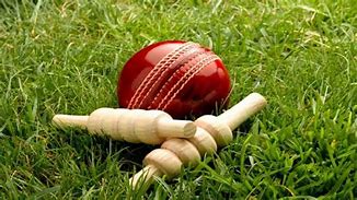 Image result for Cricket Ball Wallpaper