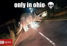 Image result for Best Ohio Memes
