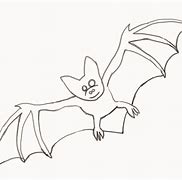 Image result for Bat Drawing References