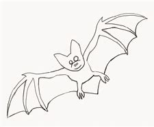 Image result for Draw East Bat