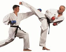 Image result for Karate Fight