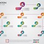 Image result for Chief Operating Officer Org Chart