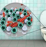 Image result for Toilet Germs