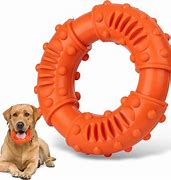 Image result for Strong Dog Toys for Chewers