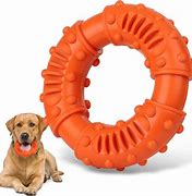 Image result for Best Dog Chew Toys