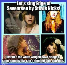 Image result for Stevie Nicks Meme