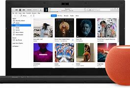 Image result for Apple iTunes Support