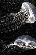Image result for Mass Effect Jellyfish