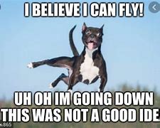 Image result for Flying Dog Meme Art