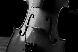 Image result for Violin White and Black Wood