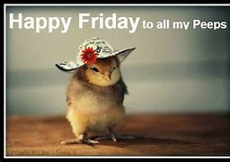Image result for Happy Friday Baby Animals