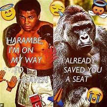 Image result for Harambe Covid Meme