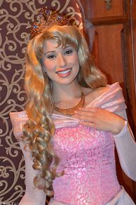 Image result for Disneyland Sleeping Beauty Princess Aurora