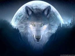 Image result for Mystical Wolf