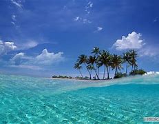 Image result for Free Wallpaper for Laptop Screen