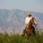 Image result for Horse Riding Bridle