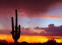Image result for Arizona Lightning Sunset