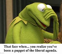 Image result for Kermit Meme