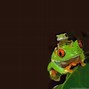Image result for Funny Frog Desktop Wallpaper