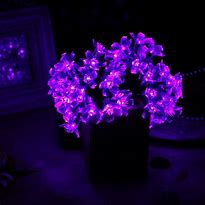Image result for Purple Solar Lights