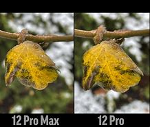 Image result for iPhone 15 vs Iponhe 12 Pro Max