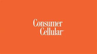 Image result for Consumer Cellular SIM Card