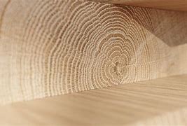 Image result for Wood End Grain Texture