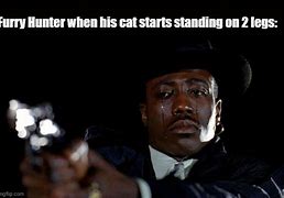 Image result for Two-Legged Cat Meme